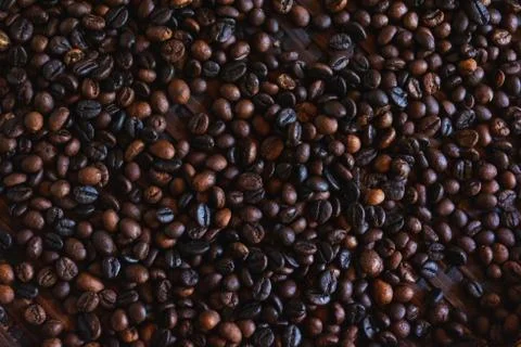 Roasted coffee beans Stock Photos