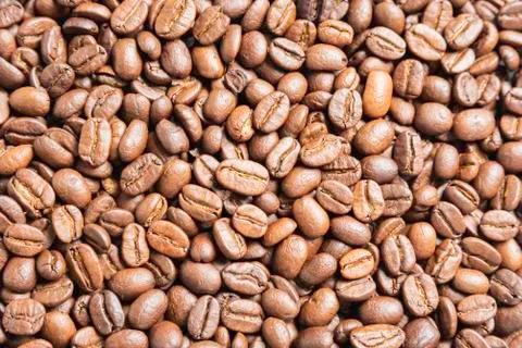 Roasted Coffee Beans Stock Photos