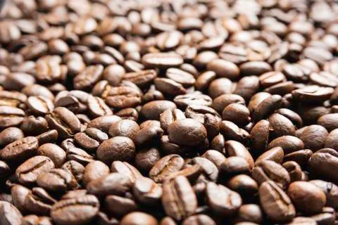 Roasted Coffee Beans 写真素材