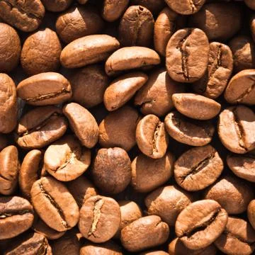 Roasted coffee beans Stock Photos