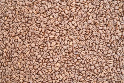 Roasted coffee beans Stock Photos