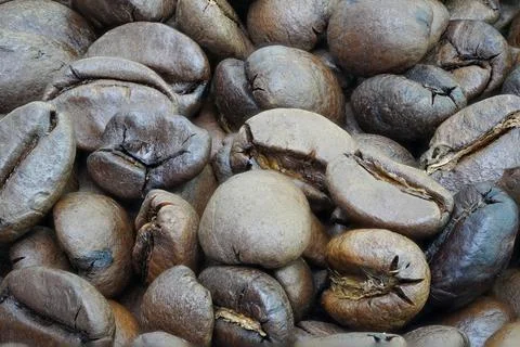 Roasted coffee beans Stock Photos