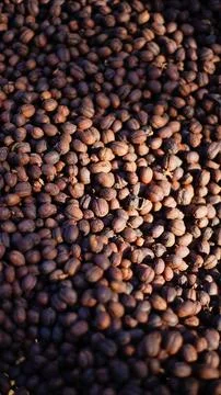 Roasted Coffee Beans Stock Photos