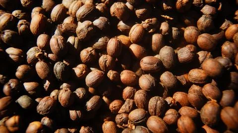 Roasted coffee beans Stock Photos