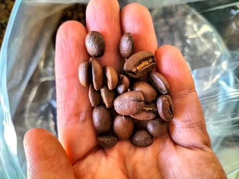Roasted coffee beans Stock Photos