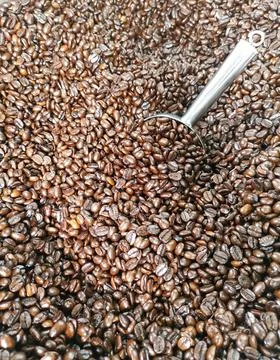 Roasted coffee beans Stock Photos