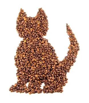 Roasted coffee beans placed in the shape of a cat Isolated on white backgroun Stock Photos