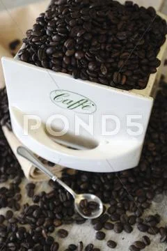 Roasted coffee beans in a porcelain drawer Stock Photos