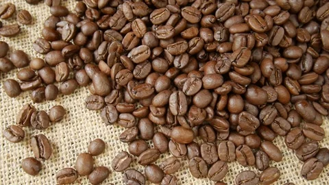 Roasted coffee beans poured on burlap cloth. Video stock 306583405