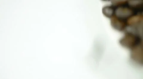 Roasted Coffee beans poured on white background Stock Footage 60119375