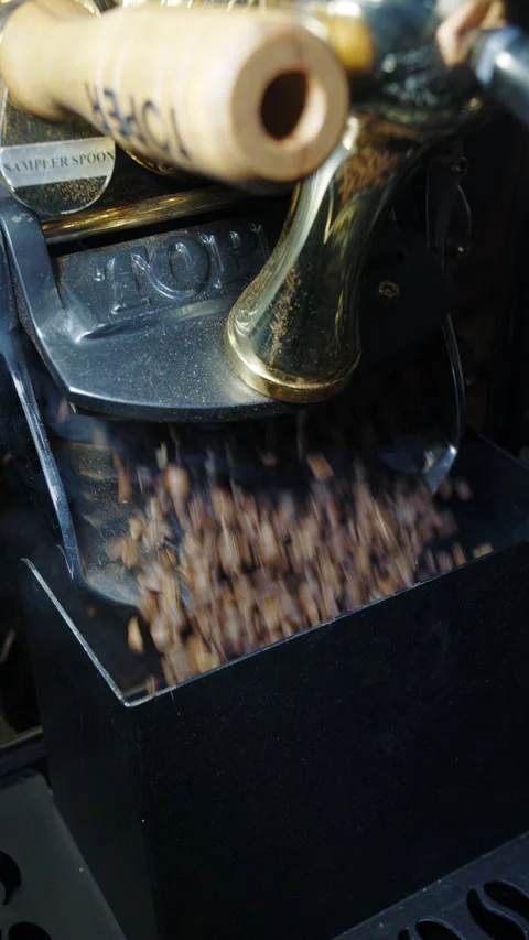 Roasted coffee beans pouring from roasting machine Stock Footage 313795749