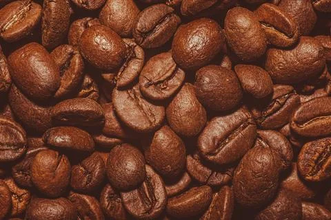Roasted coffee beans for preparation Stock Photos