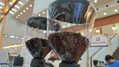 Roasted coffee beans in a professional grinder hopper. Stock Footage 340506402