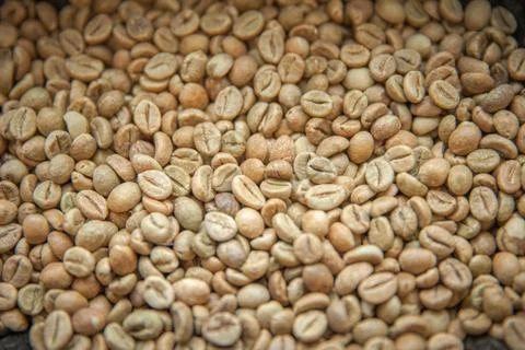 Roasted coffee beans. ready for making high quality drinks. like espresso, la Foto stock
