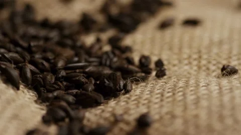 Roasted coffee beans resting on burlap surface Stock Footage 328349041