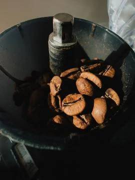 Roasted coffee beans resting inside dark grinder, waiting to be transformed into Stock Photos