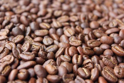 Roasted coffee beans rf123 Stock Photos