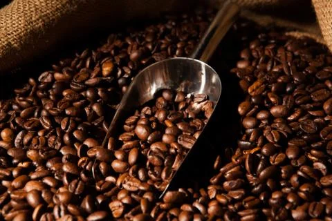 Roasted coffee beans with scoop Foto stock