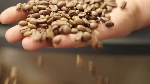 Roasted coffee beans slide through a hand and are dropped close up slow motio Video stock 171424688