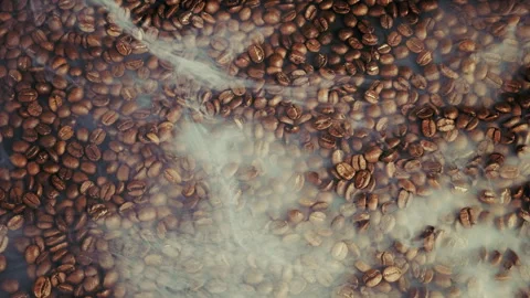 Roasted Coffee Beans in Smoke Ambiance Vídeos de archivo 318965614