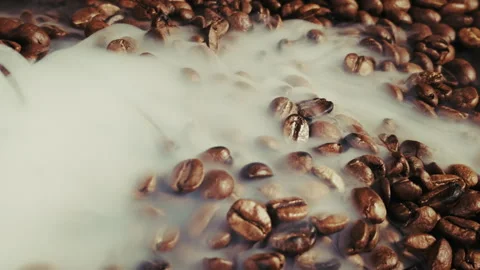 Roasted Coffee Beans in Smoke Ambiance Vídeos de archivo 318967858