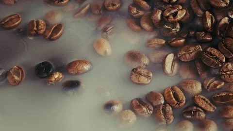 Roasted Coffee Beans in Smoke Ambiance Vídeos de archivo 318968508