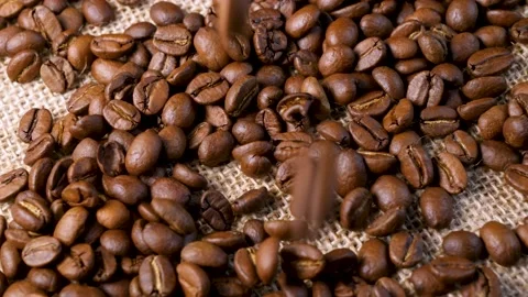 Roasted coffee beans. Smooth motion of arabica coffee seeds. Stock Footage 154206864
