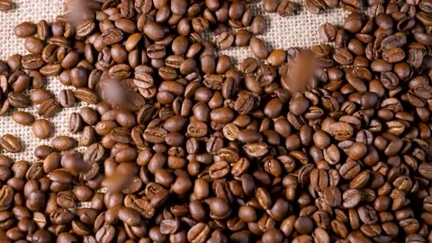 Roasted coffee beans. Smooth motion of arabica coffee seeds. 스톡 동영상 154206975