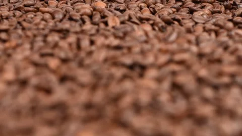 Roasted coffee beans, soft focus gradually comes to the fore. Stock Footage 245086773