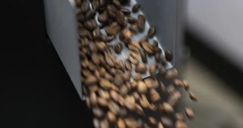 Roasted coffee beans spill out of a discharging flap cooler a production coffee Stock Footage 274091253