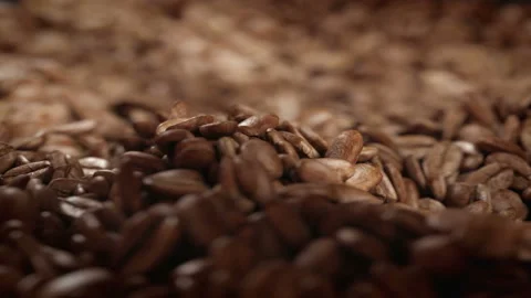 Roasted coffee beans spinning in grinder in 4K Stock Footage 163802829