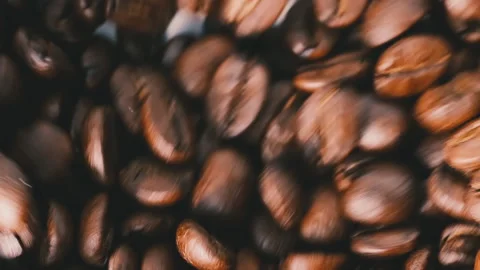 Roasted coffee beans spinning on white background Stock Footage 171788489