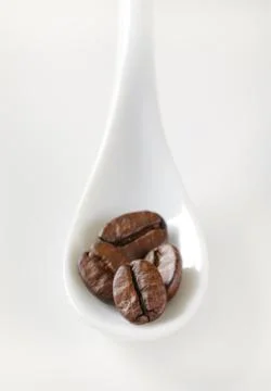 Roasted coffee beans on spoon Stock Photos