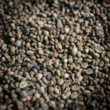 Roasted coffee beans square abstract background image Stock Photos