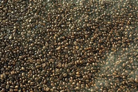 Roasted coffee beans texture close up Stock-Fotos