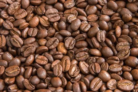 Roasted coffee beans texture with a small bokeh. Brown coffee beans close-up  写真素材