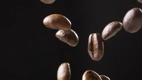 Roasted coffee beans tossed into the air Stock Footage 316070993