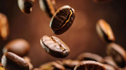 Roasted coffee beans tumble in warm light Video stock 317167473