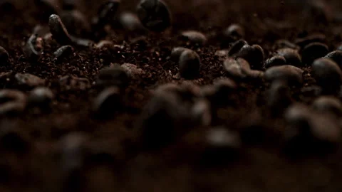 Roasted Coffee Beans Vibrating Across Coffee Grounds in Slow Motion Stock Footage 336463877