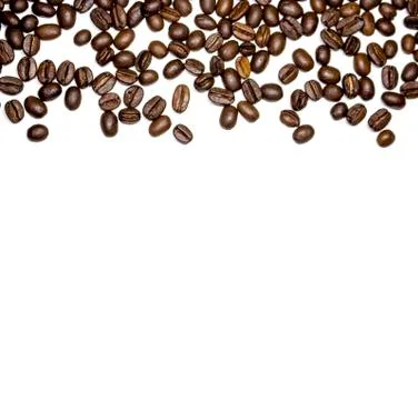 Roasted coffee beans in white background, with plenty of copy space underneath. Stock Photos