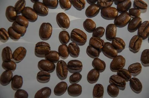 Roasted coffee beans on a white background 写真素材