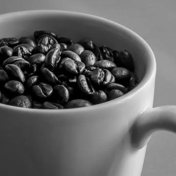 Roasted coffee beans in a white cup Stock Photos