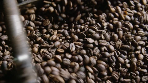 Roasted Coffee being cooled down 스톡 동영상 90010970