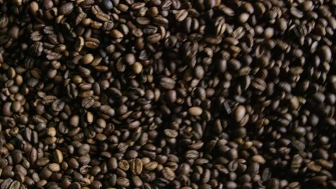 Roasted Coffee being cooled down 스톡 동영상 90011392