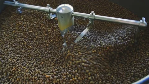 Roasted coffee cooling. Vídeos de archivo 142087815