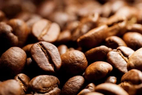 Roasted coffee grain Stock Photos