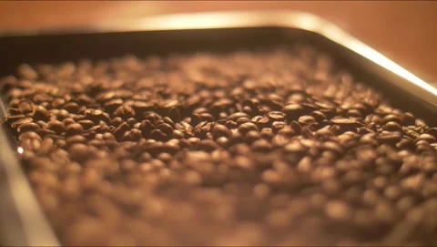 Roasted coffee grains Stock Footage 271353776