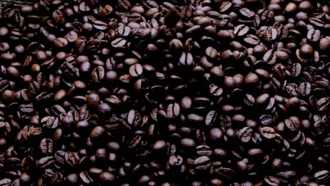 Roasted Coffee Slowmotion 30s 動画素材 232972124