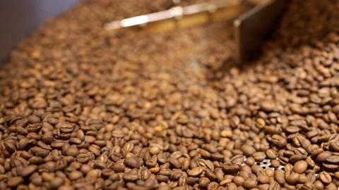 Roasted colombian coffee beans inside the mixer hull of industrial roaster Stock Footage 170697451