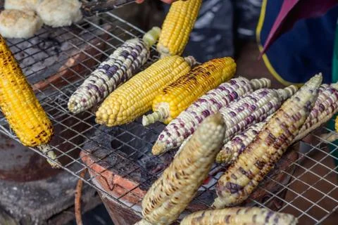 Roasted corn closeup Stock Photos